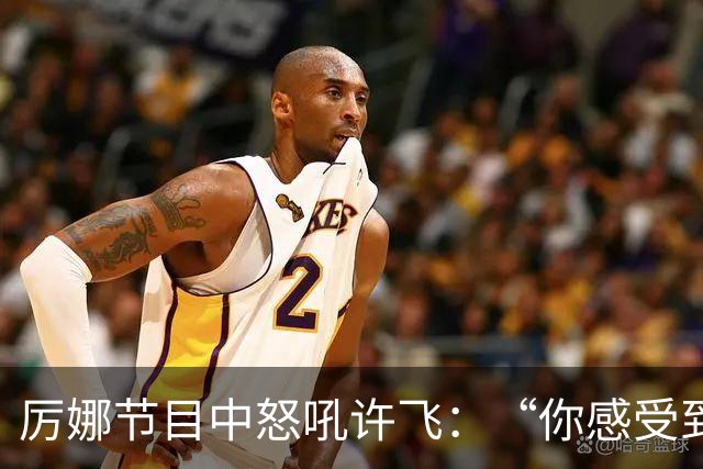 厉娜节目中怒吼许飞：“你感受到的是被宣判，那我所有的经济损失呢？”