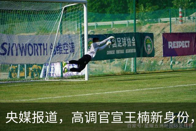 央媒报道，高调官宣王楠新身份，资产查封被带走调查传闻早有真相