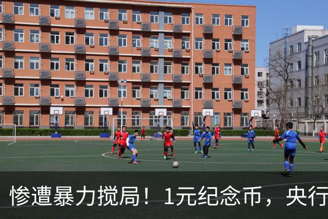 惨遭暴力搅局！1元纪念币，央行白干了！