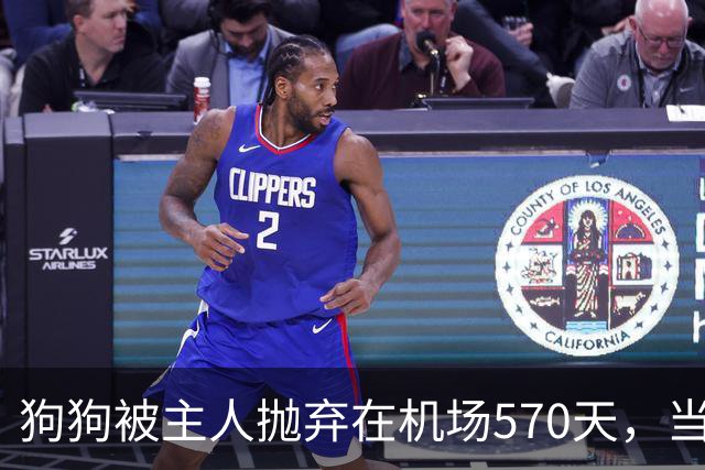 狗狗被主人抛弃在机场570天，当主人回来接它时，看哭了所有人